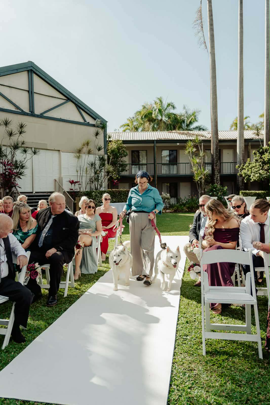 Handler walking two white huskies down the wedding aisle